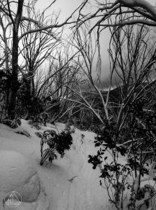 FullSizeRenderrhysedit 1