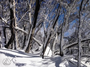 IMG_7543rhysedit 1 copy