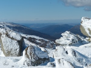 P1390997snow8-8-15||34